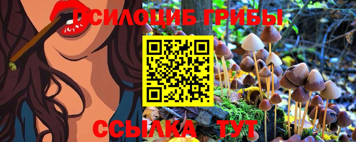 Выкса  Галлюциногенные грибы Cubensis  Вход с VPN 