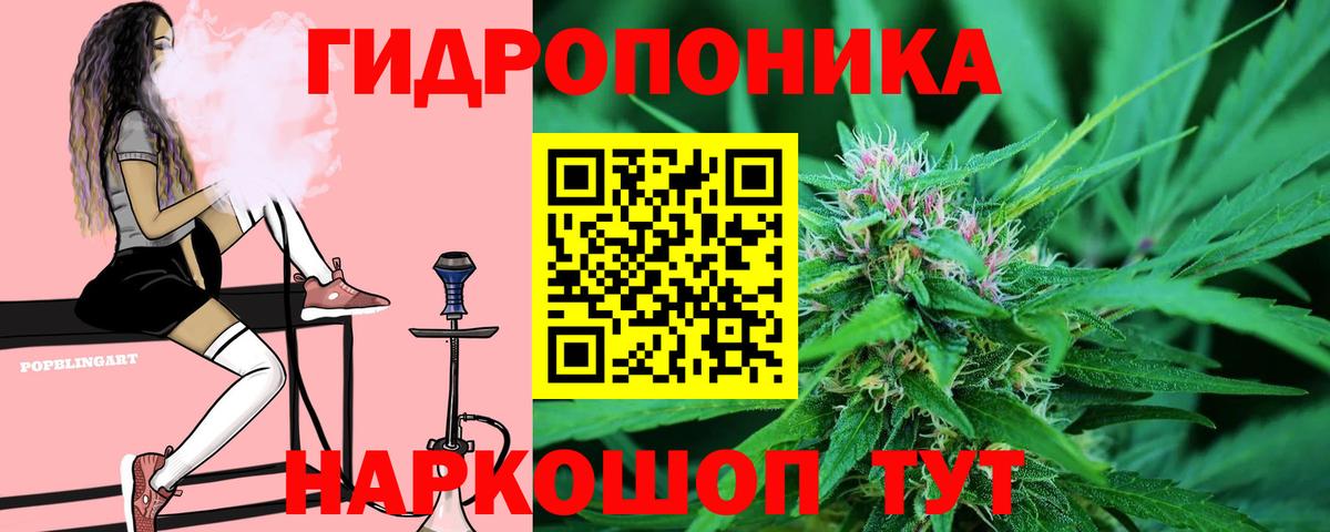 Шишки марихуана OG Kush Выкса